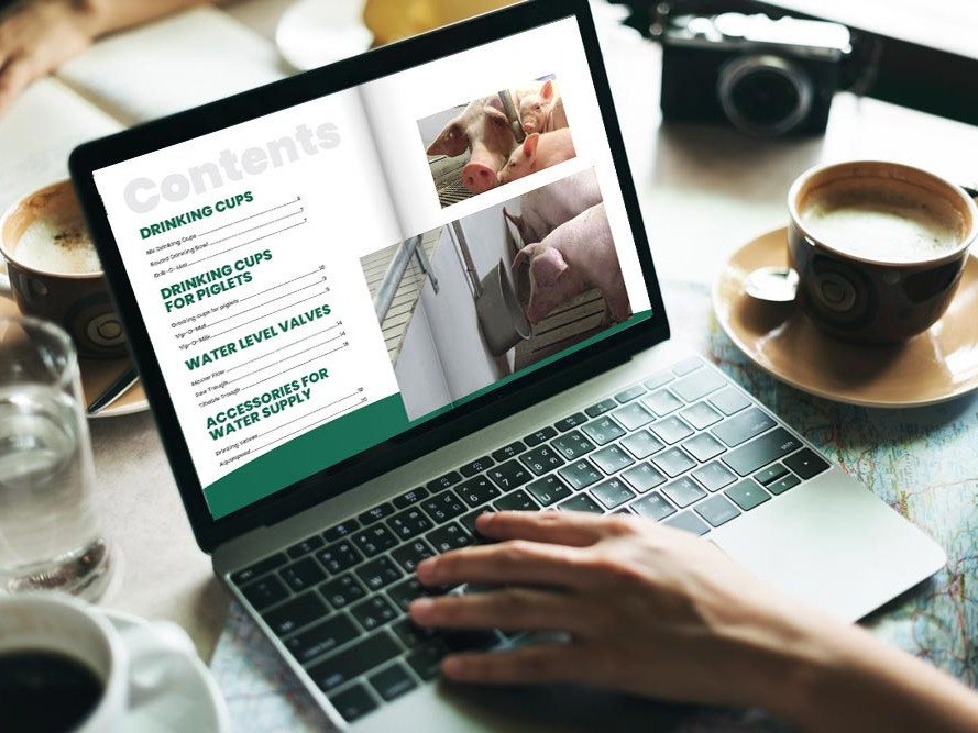 Destination Journey Leisure Camera Photograph Concept