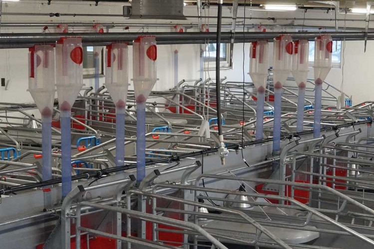 VD5-feed-dispensers-overview