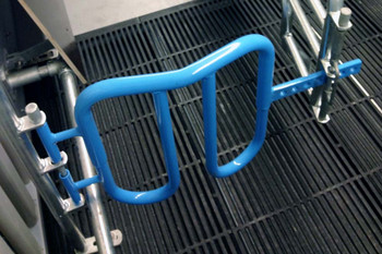 Cast-iron-slats-farrowing-pen-rear-gate