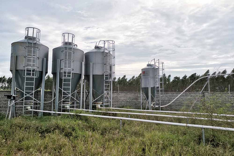 Flex auger and silos