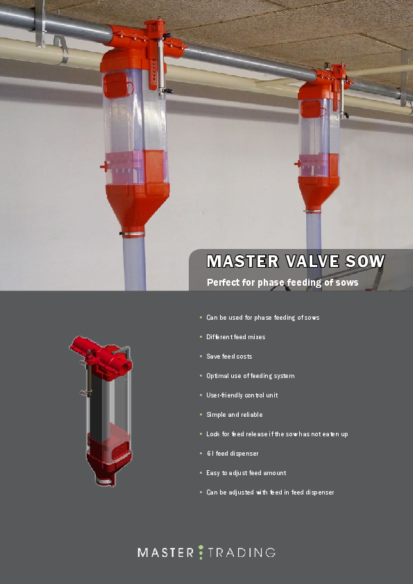 B-1039-MT_GB_MASTER_VALVE_SOW.pdf