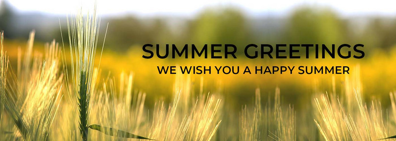 MT Summer23 Banner