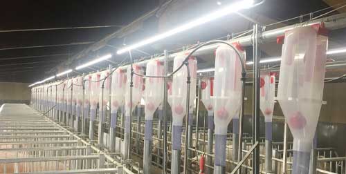 LED Licht